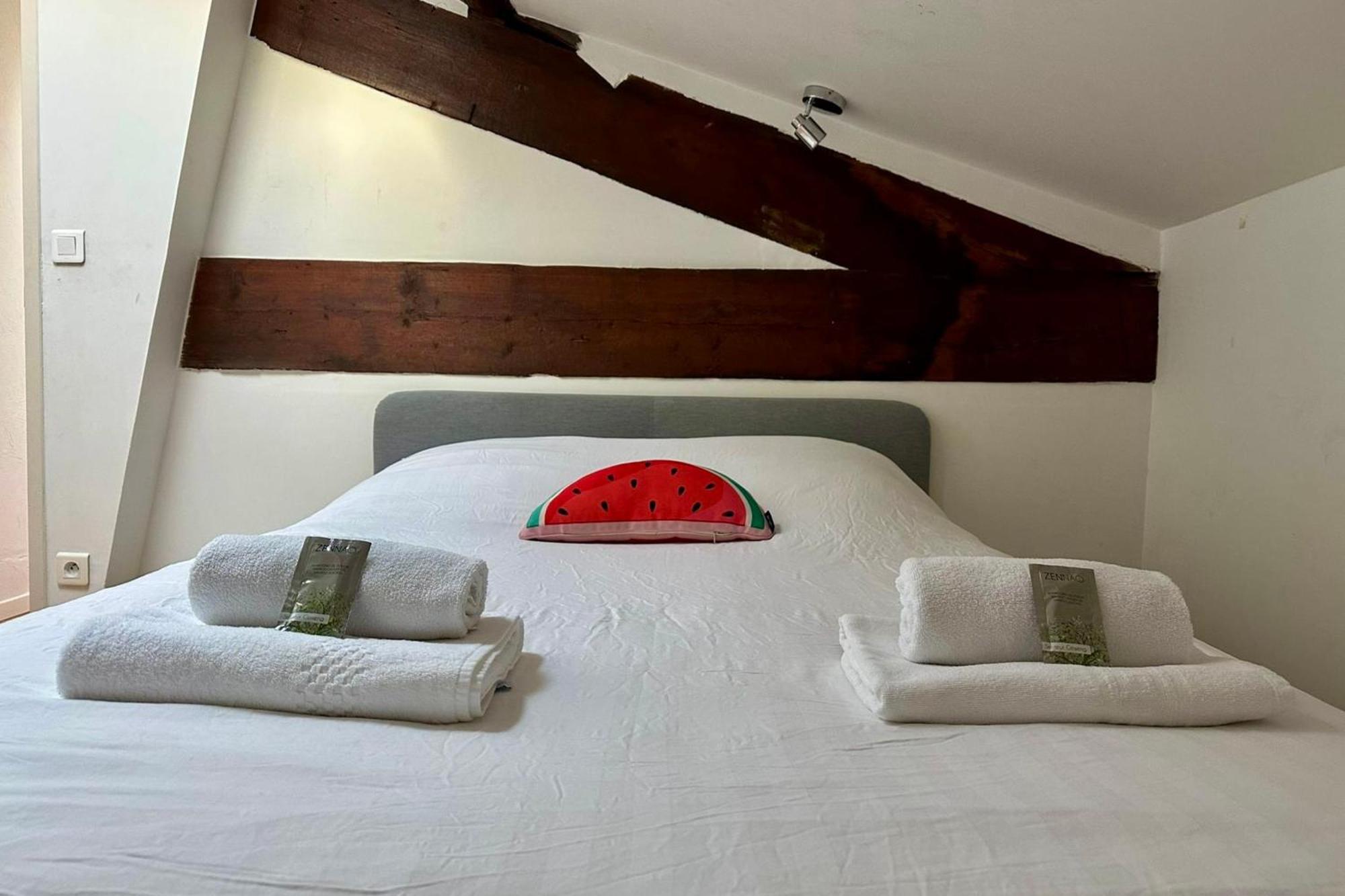 The Duplex- Air-Conditioned 3 Bedrooms In The Center Of Montpellier! Exterior photo